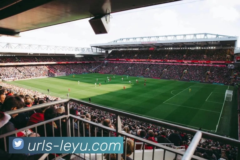 乐鱼最新版平台生态图