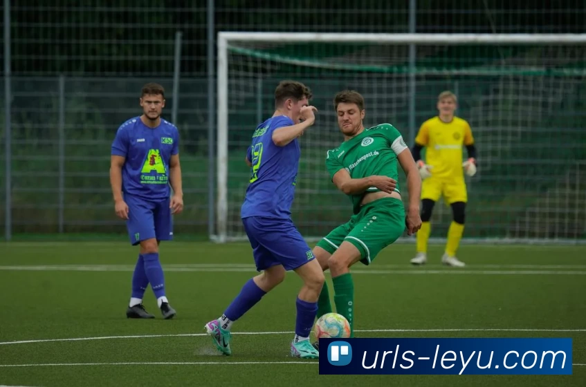 乐鱼最新版全站App